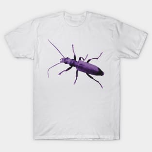 Purple Beetle Wharf Borer T-Shirt